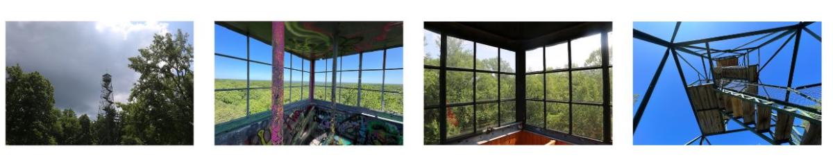 Fire Tower Collage
