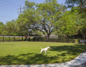 Pontiff Dog Park