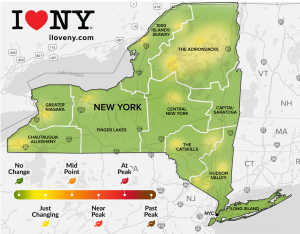 I LOVE NY Fall Foliage PR Map - Week 1