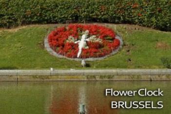 Flower Clock Brussels