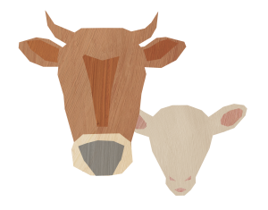 Beef & Lamb illustration