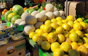 Grapefruits and melons at Englewood Farmer's Market