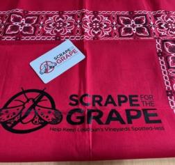 Scrape Bandana and Card