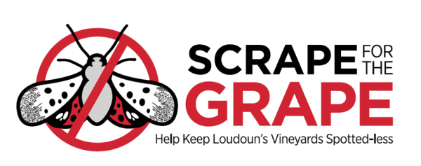 Scrape for the Grape logo