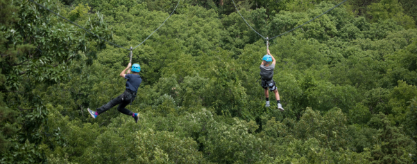 Zipline