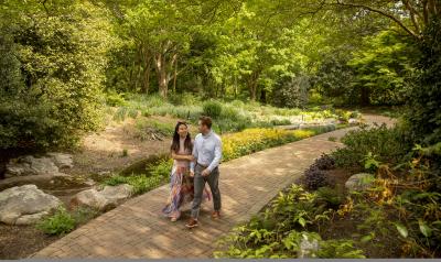 Lewis Ginter Couple