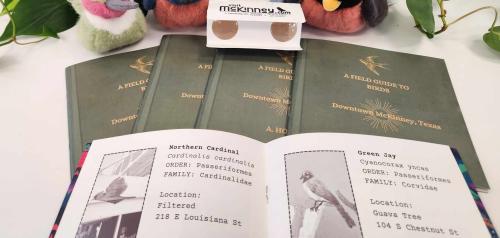 Plush birds with Downtown Bird Guide Books and binoculars - hummingbird, bluebird, Blue jay, and robin