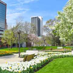 Freimann Square in spring
