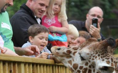 Elmwood Park Zoo Header