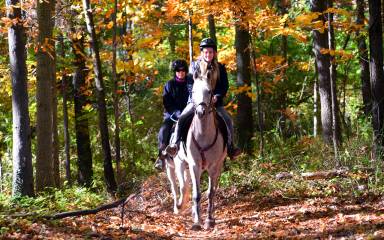 Horseback Riding in Evansburg State PArk