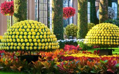 Longwood Gardens