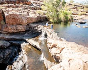 dalmanyi bell gorge in wunaamin conservation park