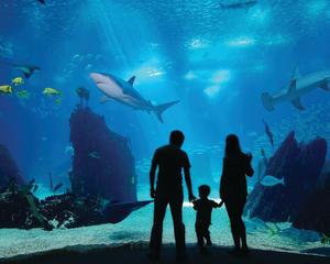 Family Friendly Attractions Pass