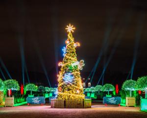 A night-time scene in a garden, with a huge illuminated Christmas Tree, surrounded by pathways and plants all bathed in colourful light