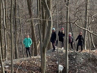 Idlewood Trail