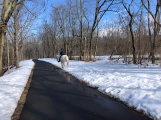 Tyler State Park