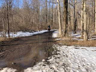 Tyler State Park