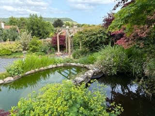 Lush garden with a tranquil pond, surrounded by vibrant greenery and colorful foliage. Wooden pergola in background under a clear blue sky. Peaceful ambiance.