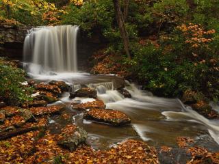 Charlotte Pletcher, Cole Run Falls, Somerset County