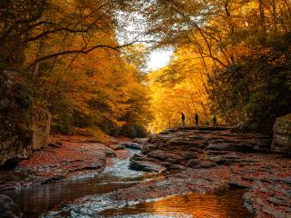 Autumn - or any season - is a great time to visit Ohiopyle State Park