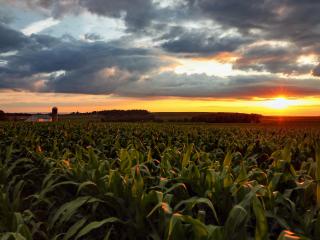 Berlin Sunset