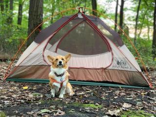 Cabins Campgrounds Laurel Highlands Pa