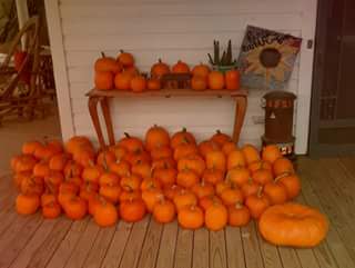 firstearthpumpkin-1.jpg
