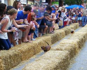 Weenie dog races - dogs running between hay bales