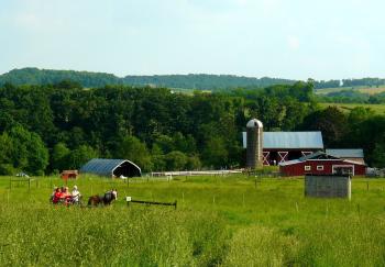 Picture of Owens Farm for a Horse Draw Carriage riding through their fields