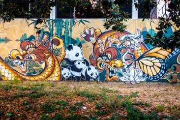 Dragon School