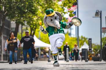 Experience Oakland, CA From Home | Support Local Businesses