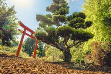 Gardens at Lake Merritt