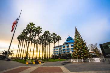 Holiday Christmas Tree in Jack London Square