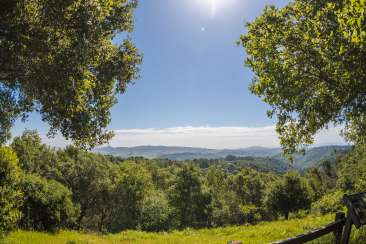 View of green trees and rolling hills at Roberts Regional Park