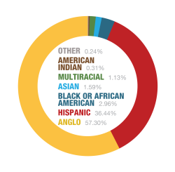 Population - Race