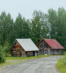 Cabins on Petersville Road