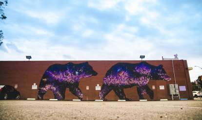 Laurel Mural Photo