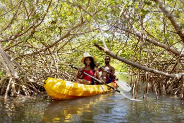 Couple kayaking through mangroves in Punta Gorda/Englewood Beach