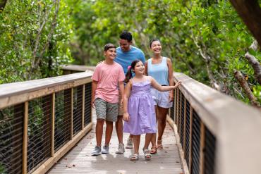 Family Nature Walk at Ponce de Leon Park