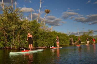 Standup Paddleboard tour with SUP Englewood