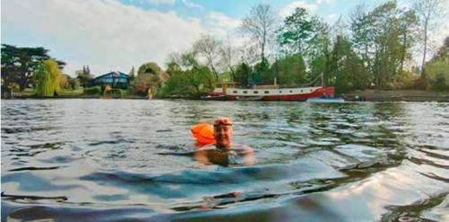 Wild Swimmer
