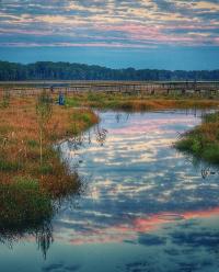 Neabsco Creek Boardwalk