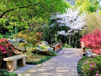 garden pathway surrounded by nature scenery