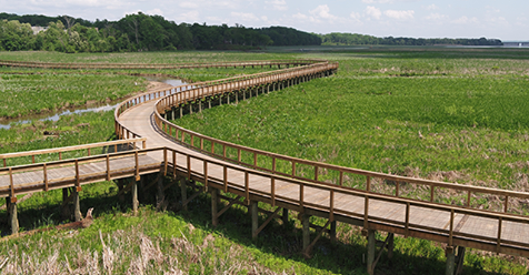 Neabsco Creek Boardwalk