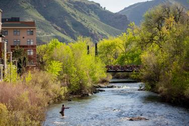 Fly Fisherman in Clear Creek