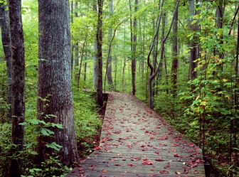 Accessible Raleigh N C Things To Do For Visitors With Disabilities