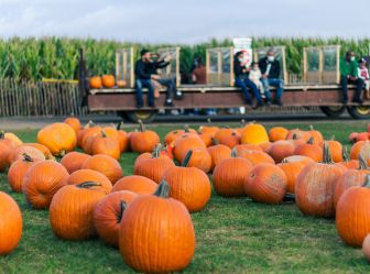 tourist attractions in nc piedmont