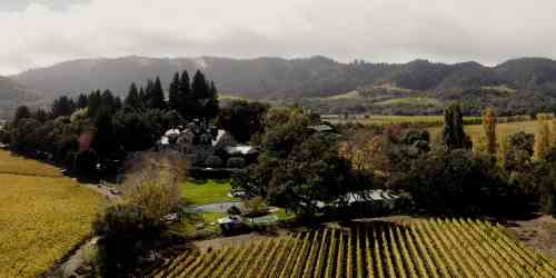 Video Large - vimeo - Live in the Vineyard 2022 Recap