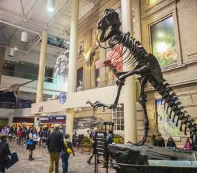 Free Night at the Museums -DMNS