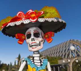 Painted skeleton at Denver Botanic Gardens